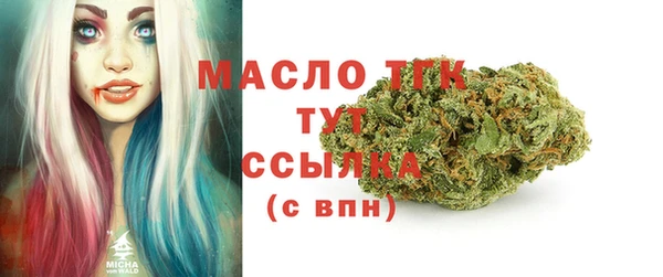 индика Аркадак