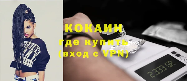 индика Аркадак