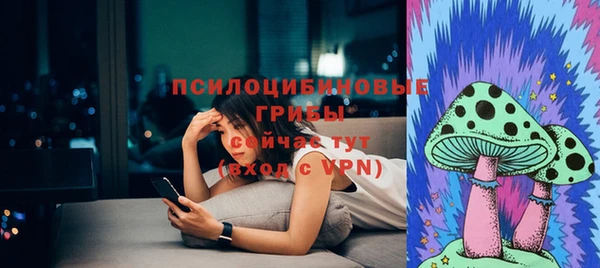 амф Алексеевка